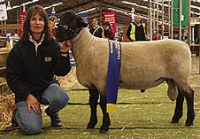 hamilton sheepvention