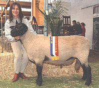 2002 Adelaide Champion